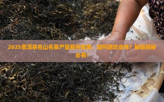 普洱茶名山名寨产量