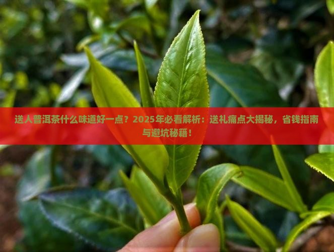 送人普洱茶什么味道好一点