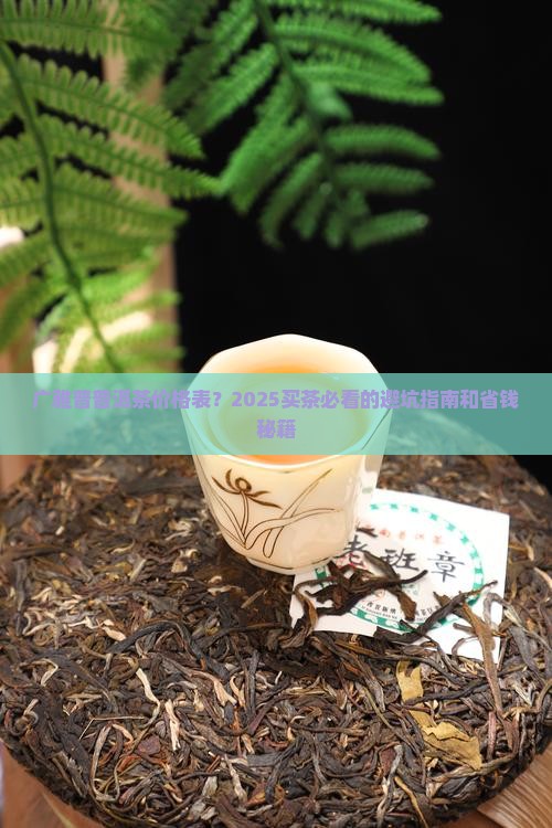 广雅普普洱茶价格表
