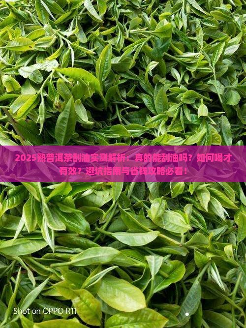 熟普洱茶刮油么