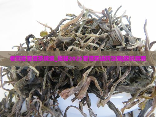 老同志普洱茶境境