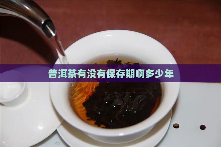 普洱茶有没有保存期啊多少年