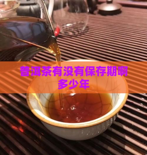 普洱茶有没有保存期啊多少年