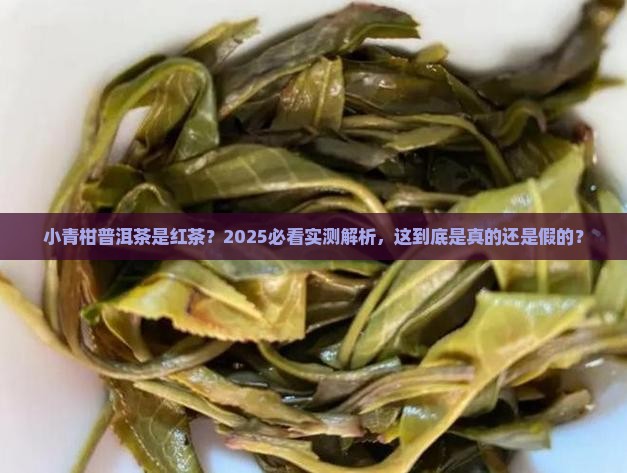 小青柑普洱茶是红茶