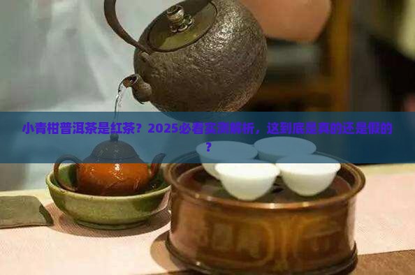 小青柑普洱茶是红茶