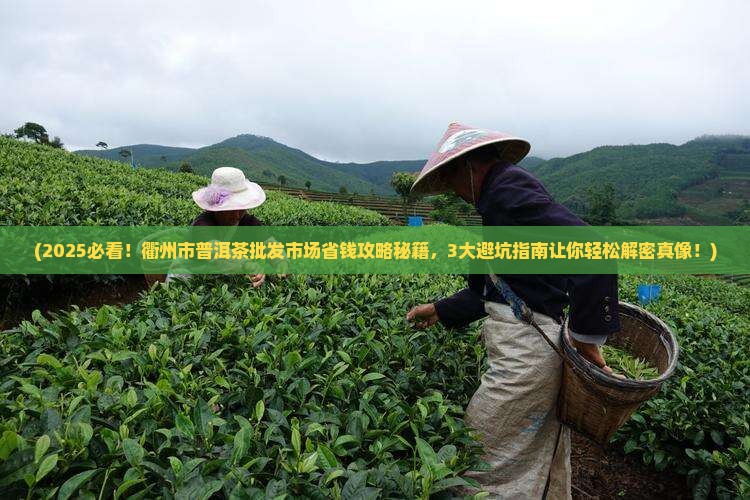 衢州市普洱茶批发市场