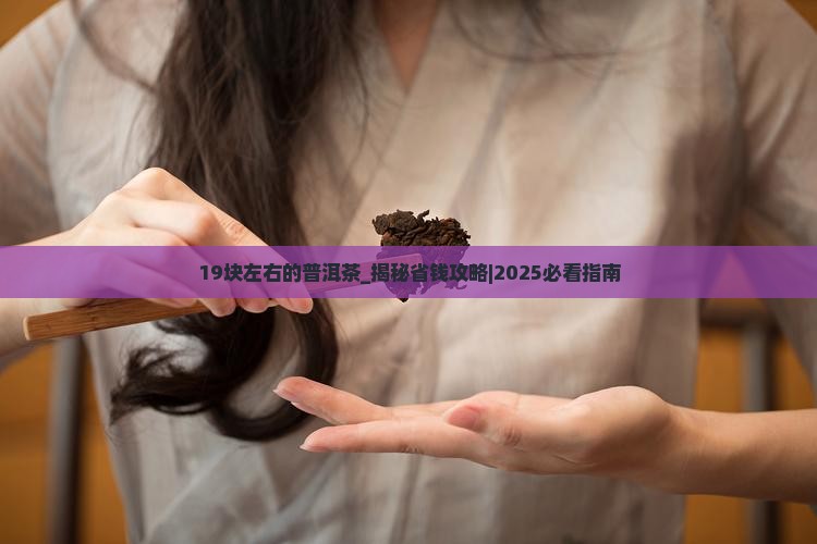19块左右的普洱茶