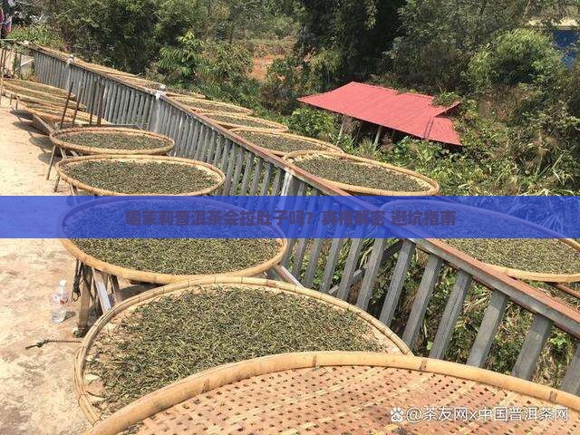 喝茉莉普洱茶拉肚子吗