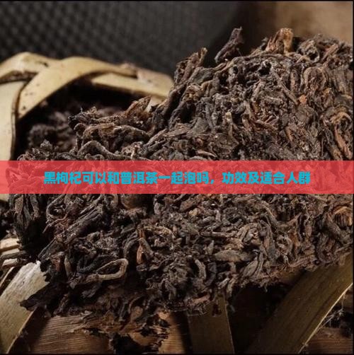 黑枸杞可以和普洱茶一起泡吗 黑枸杞可以和普洱茶一起泡吗