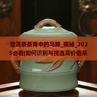 普洱茶茶青中的马蹄