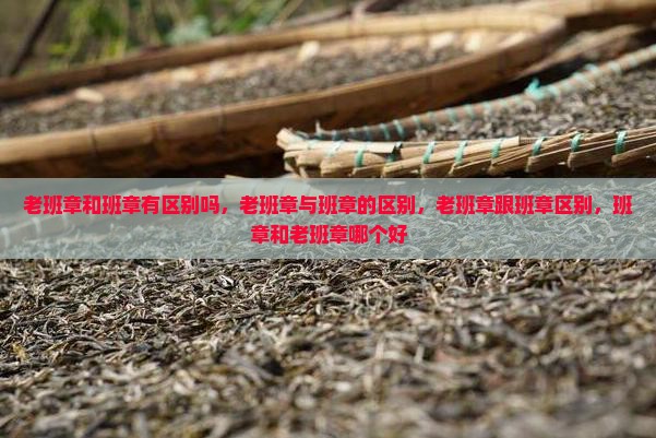 老班章和班章有区别吗