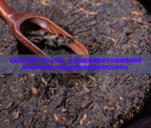 云南滇红茶喝了有什么好处