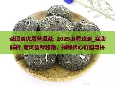 茶溪谷优质普洱茶
