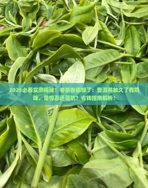 普洱茶放久了有奶味