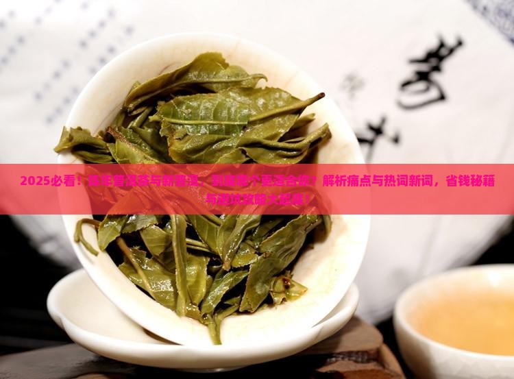 陈年普洱茶与新普洱