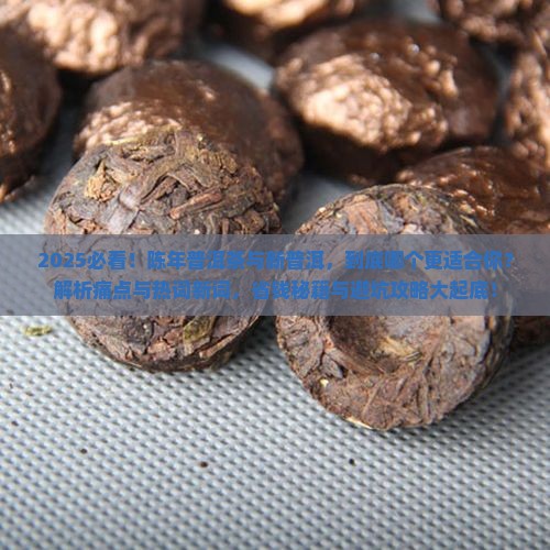 陈年普洱茶与新普洱