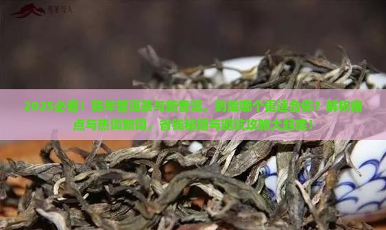 陈年普洱茶与新普洱