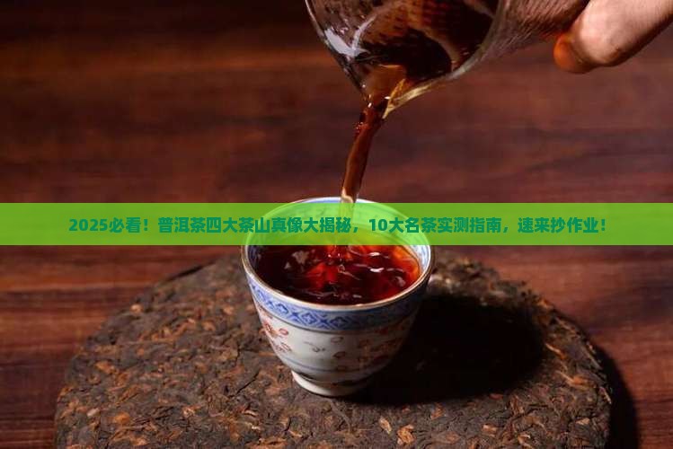 普洱10大名茶普洱茶四大茶山