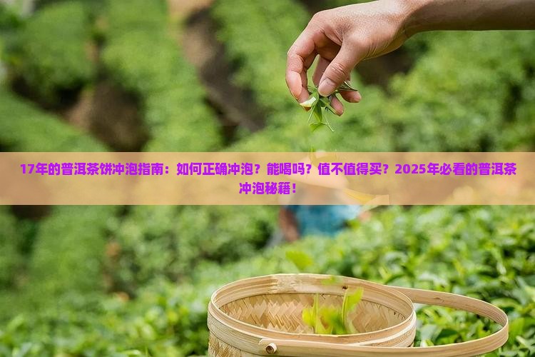 17年的普洱茶饼冲泡