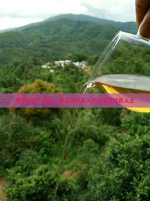 普洱茶名人效应