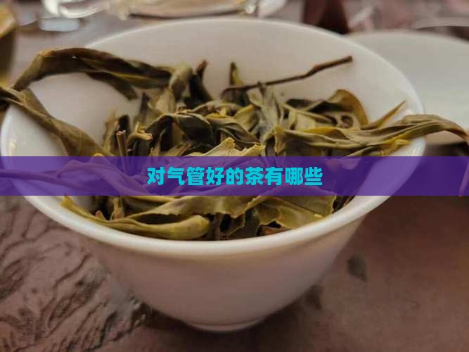 对气管好的茶有哪些
