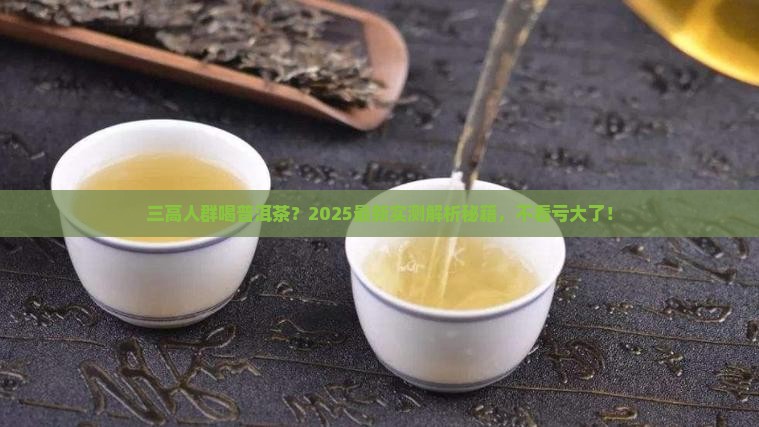 三高人员喝普洱茶