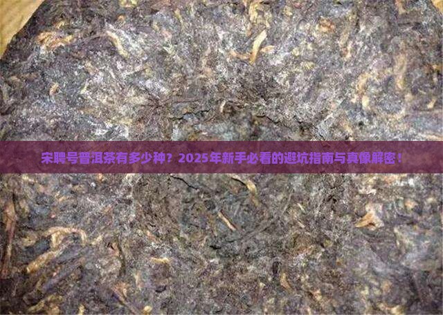 宋聘号普洱茶有多少种
