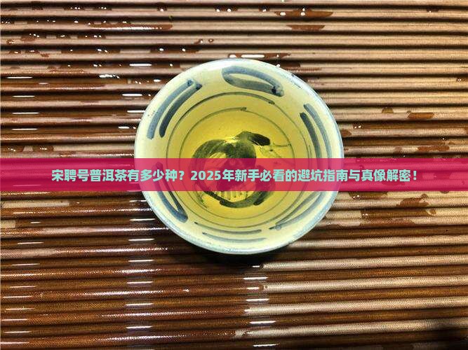 宋聘号普洱茶有多少种
