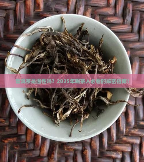 普洱茶属于温性吗 普洱茶属于温性吗