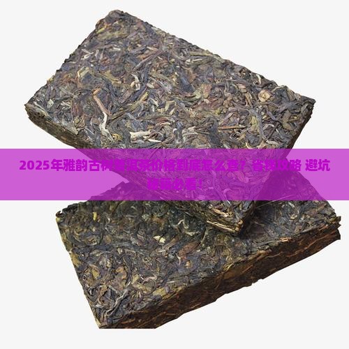雅韵古树普洱茶价格查询