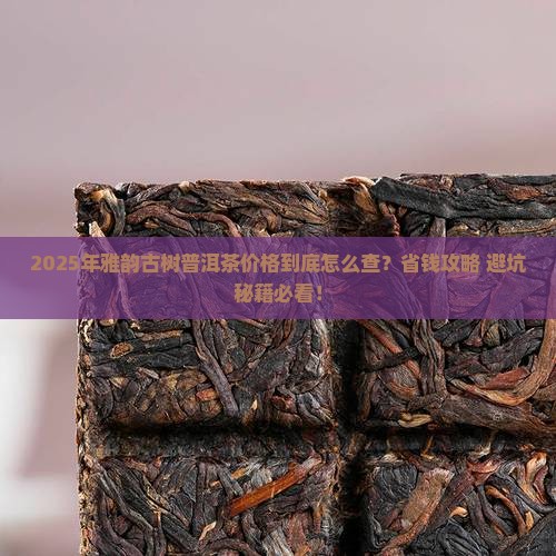 雅韵古树普洱茶价格查询