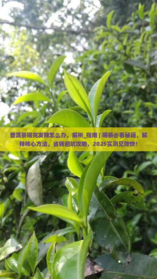 普洱茶喝完发辣怎么办