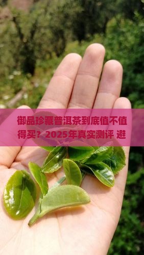 御品珍藏普洱茶