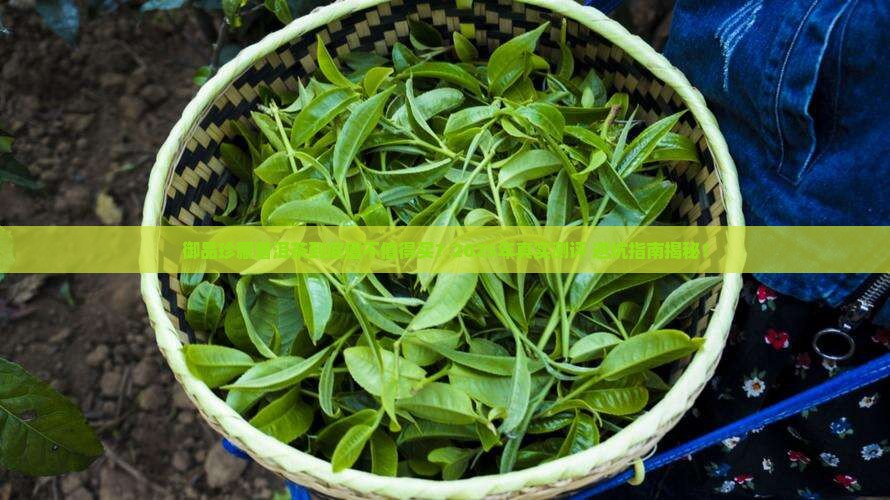 御品珍藏普洱茶