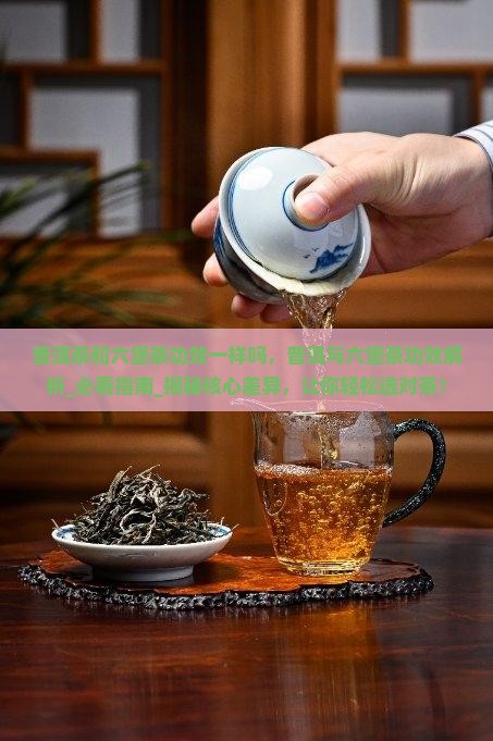 普洱茶和六堡茶功效一样吗