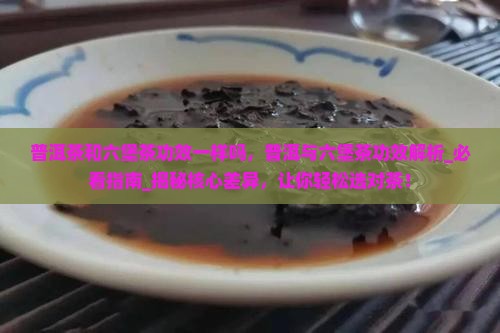 普洱茶和六堡茶功效一样吗