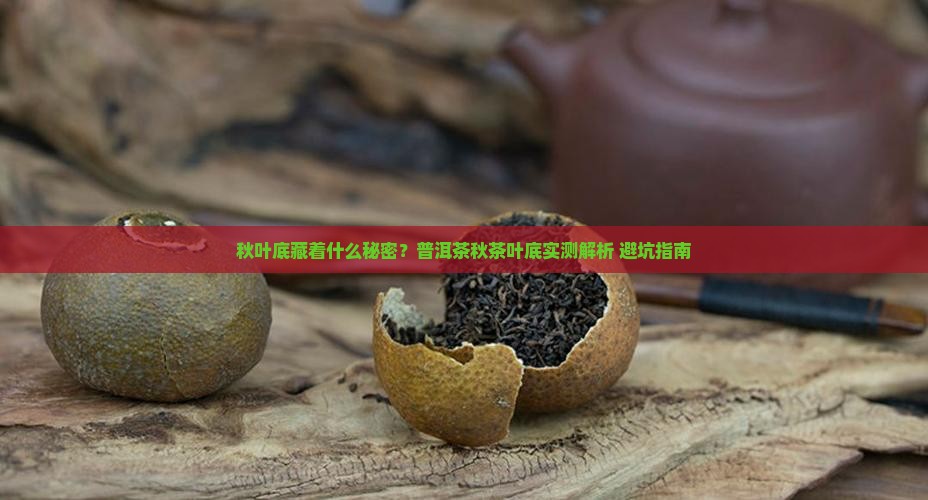 普洱茶秋茶叶底