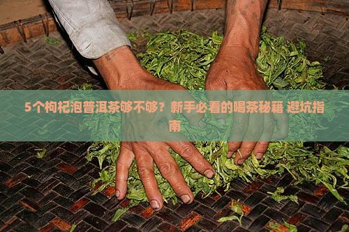 普洱茶放几个枸杞合适呢