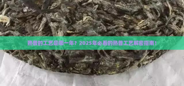 熟普的工艺是哪一年