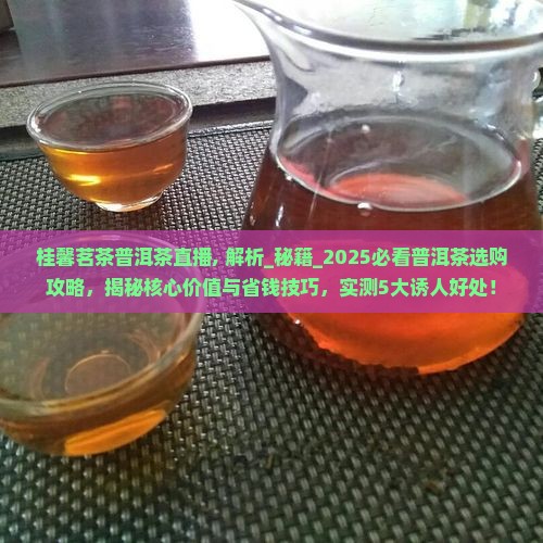 桂馨茗茶普洱茶直播