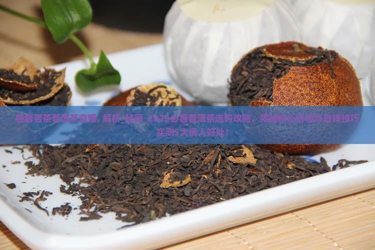 桂馨茗茶普洱茶直播