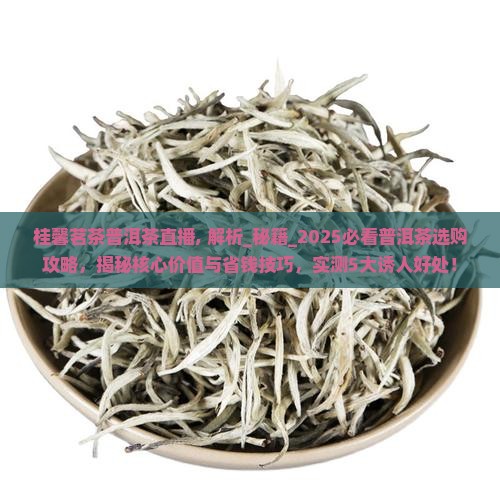 桂馨茗茶普洱茶直播