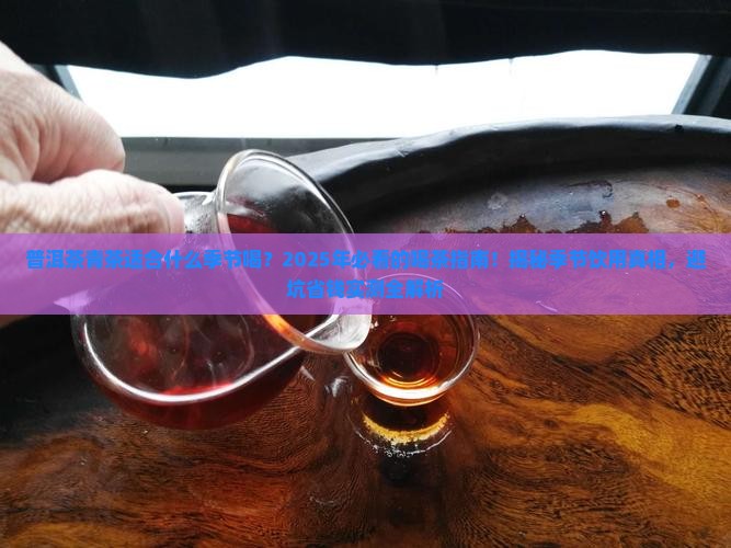 普洱茶青茶适合什么季节喝