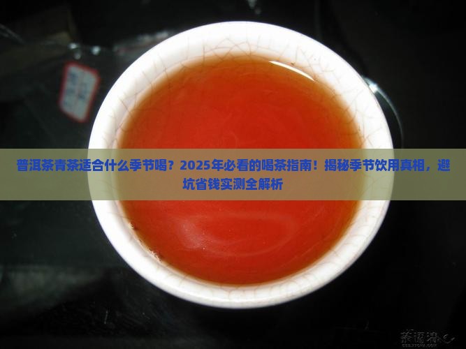 普洱茶青茶适合什么季节喝