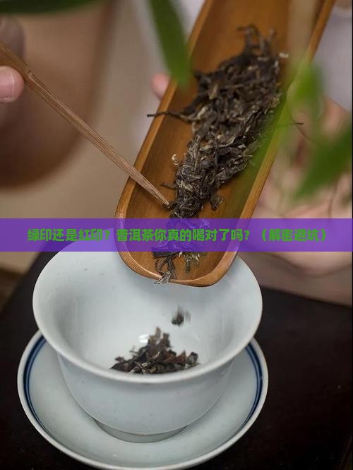 普洱茶绿印红印的差别