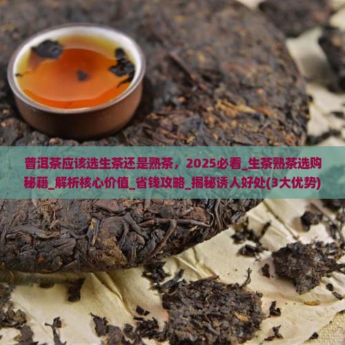 普洱茶应该选生茶还是熟茶