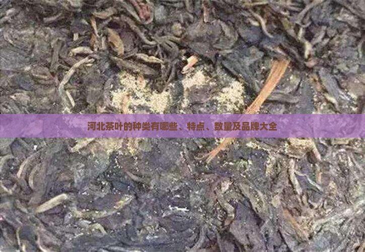 河北茶叶的种类