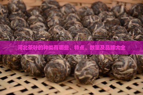 河北茶叶的种类