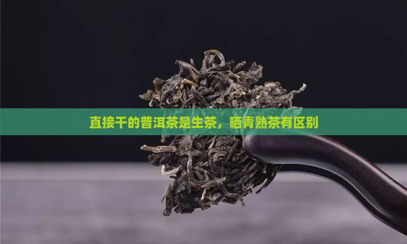 直接晒干的普洱茶是生茶