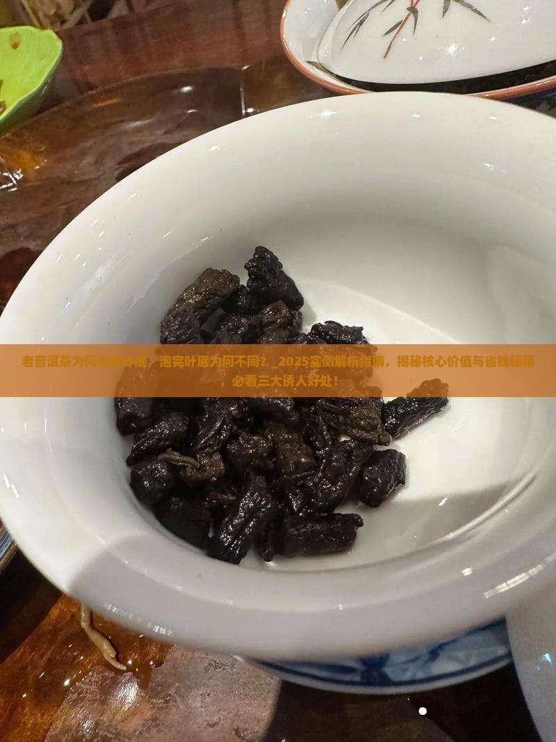 老普洱茶为何泡完叶底